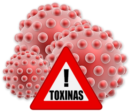 2531_toxinas